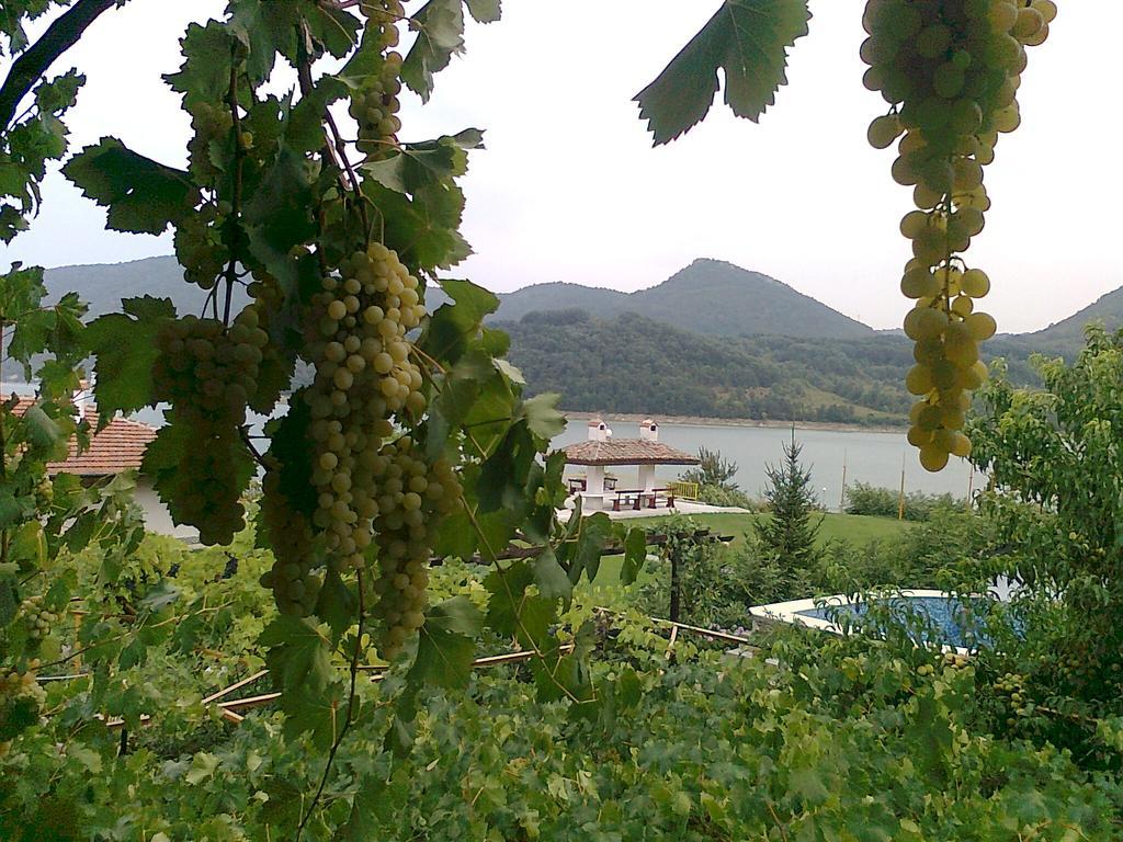 Family Hotel Belvedere Dulgopol Exterior photo